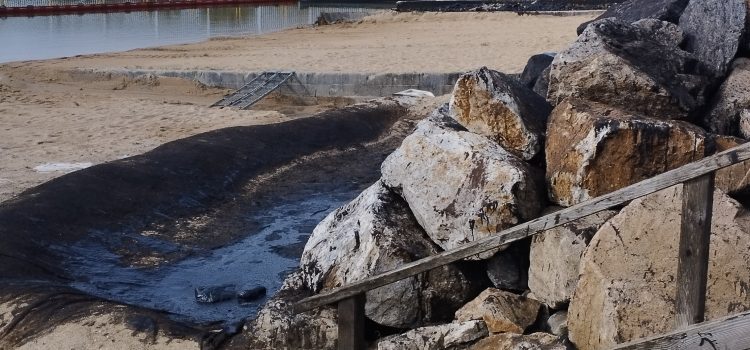 Protégé : Visite au CEDRE