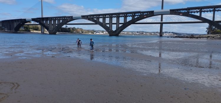 Protégé : Liason école -Collège